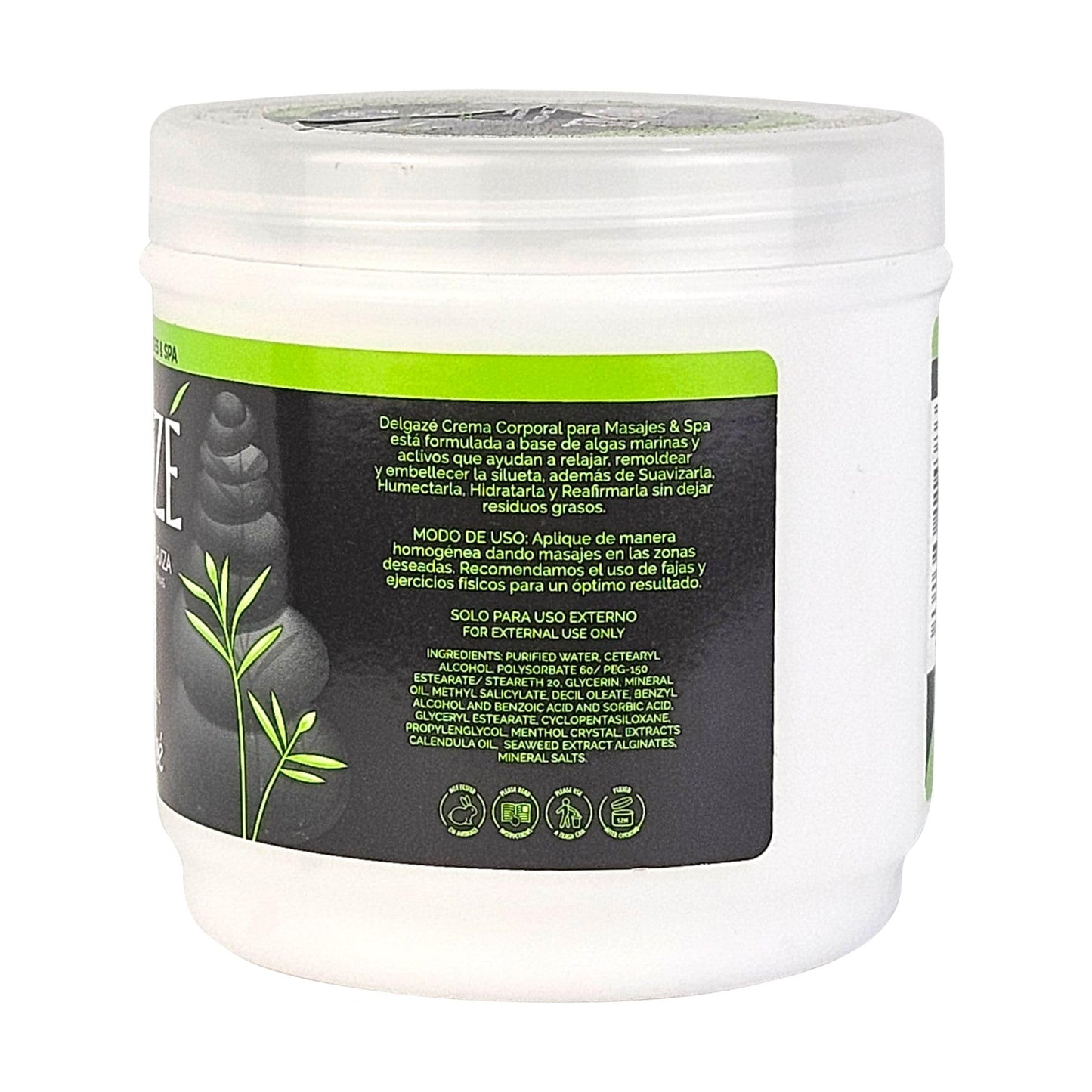 Delgazé Thermoactive Massage Cream & Spa with Seaweed & Natural Extracts – Anti-Stress, Hydrating & Firming Massage Cream for Spa & Home Use – 16 oz Beauty & Personal Care BOÉ COSMETICS