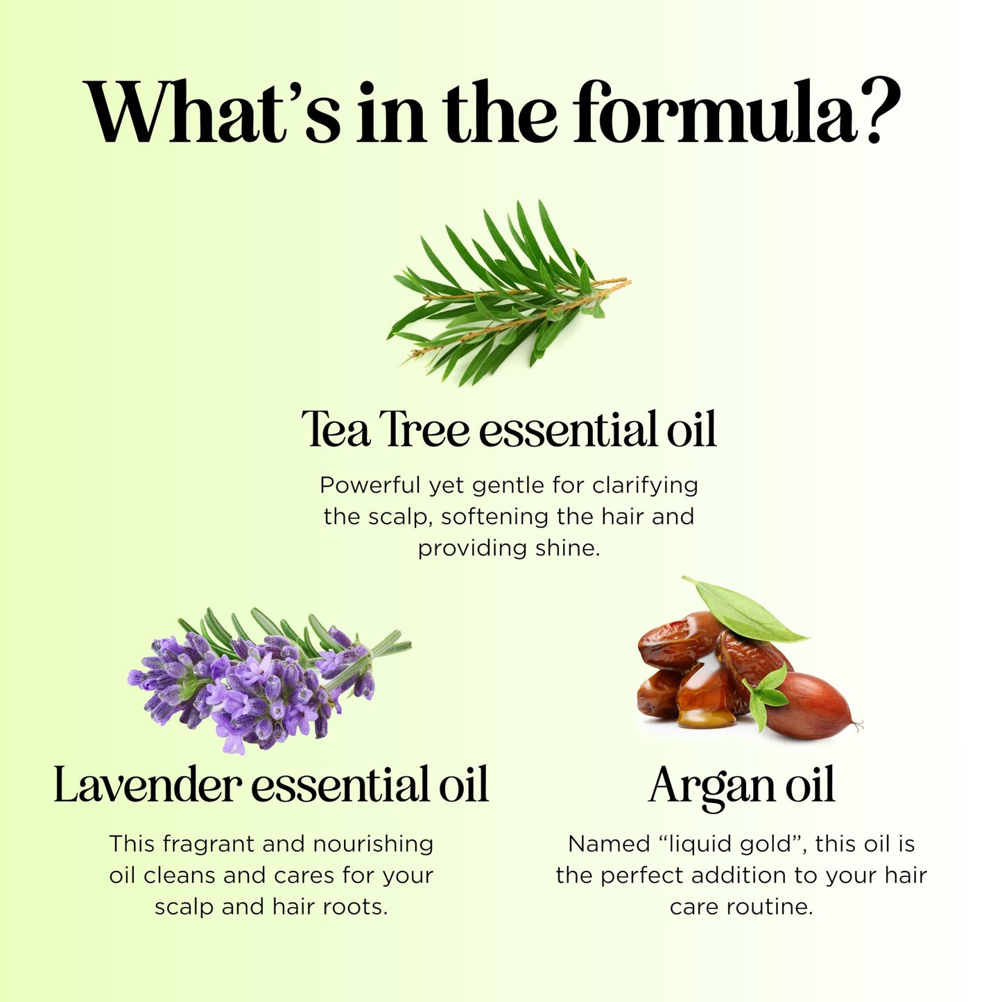 Clarifying Shampoo for Build Up & Oily Hair - Tea Tree Shampoo for Men and Women with Rosemary Essential Oil for Oily Hair and Scalp - Color Safe Beauty & Personal Care Maple Holistics