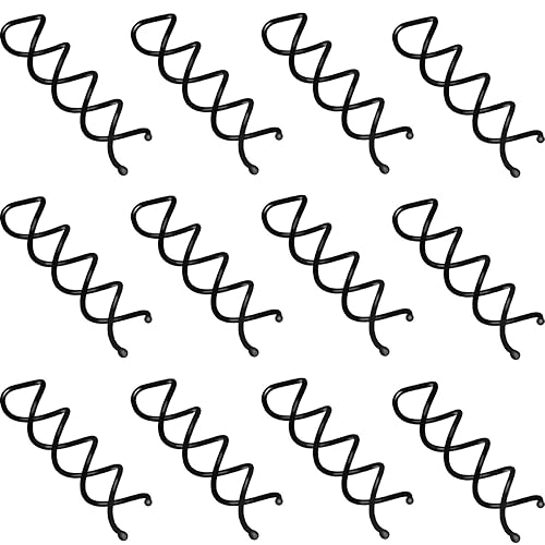 eBoot Spiral Hair Clip Spin Bun Stick, Hair Pick Set for DIY Hair Styles - 20 Pack (Black) Beauty & Personal Care EBOOT