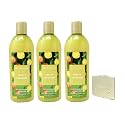 Bath & Body Works Fruity Infusion - 3 Pack Of Moisturizing Shampoo with a Natural Oats Sample Soap Beauty & Personal Care Bath & Body Works