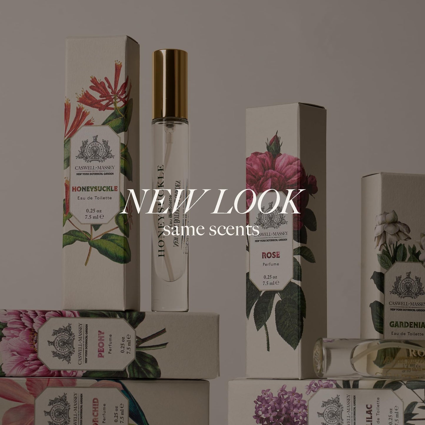 Caswell-Massey Rose Perfume Spray, Classic Floral for Women with Wild Fig, Currant, and Rose, Made in USA, 0.25 Oz Beauty & Personal Care Caswell-Massey
