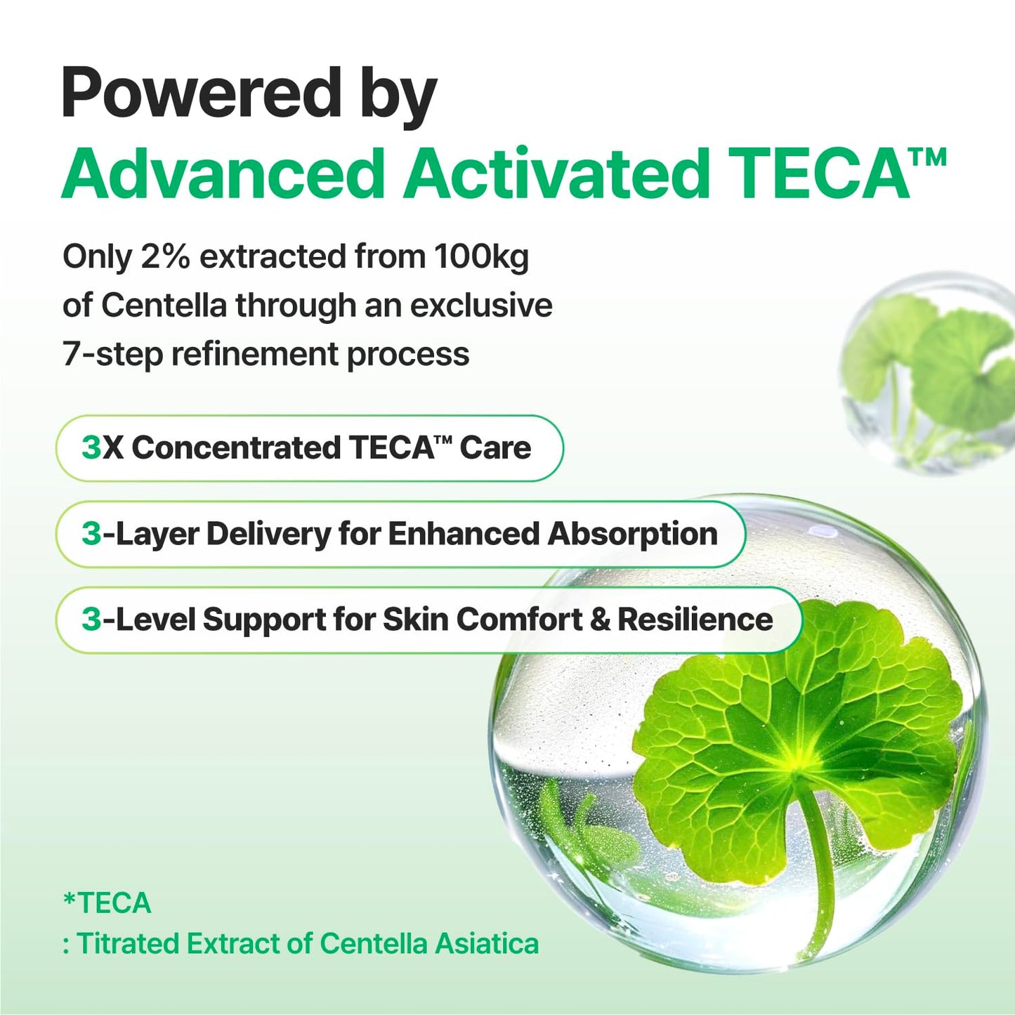 CENTELLIAN 24 Madeca Cream Time Reverse - Firming Face Moisturizer with TECA Centella Asiatica, Skin Elasticity & Barrier Support, Deep Hydration Beauty and Personal Care CENTELLIAN 24
