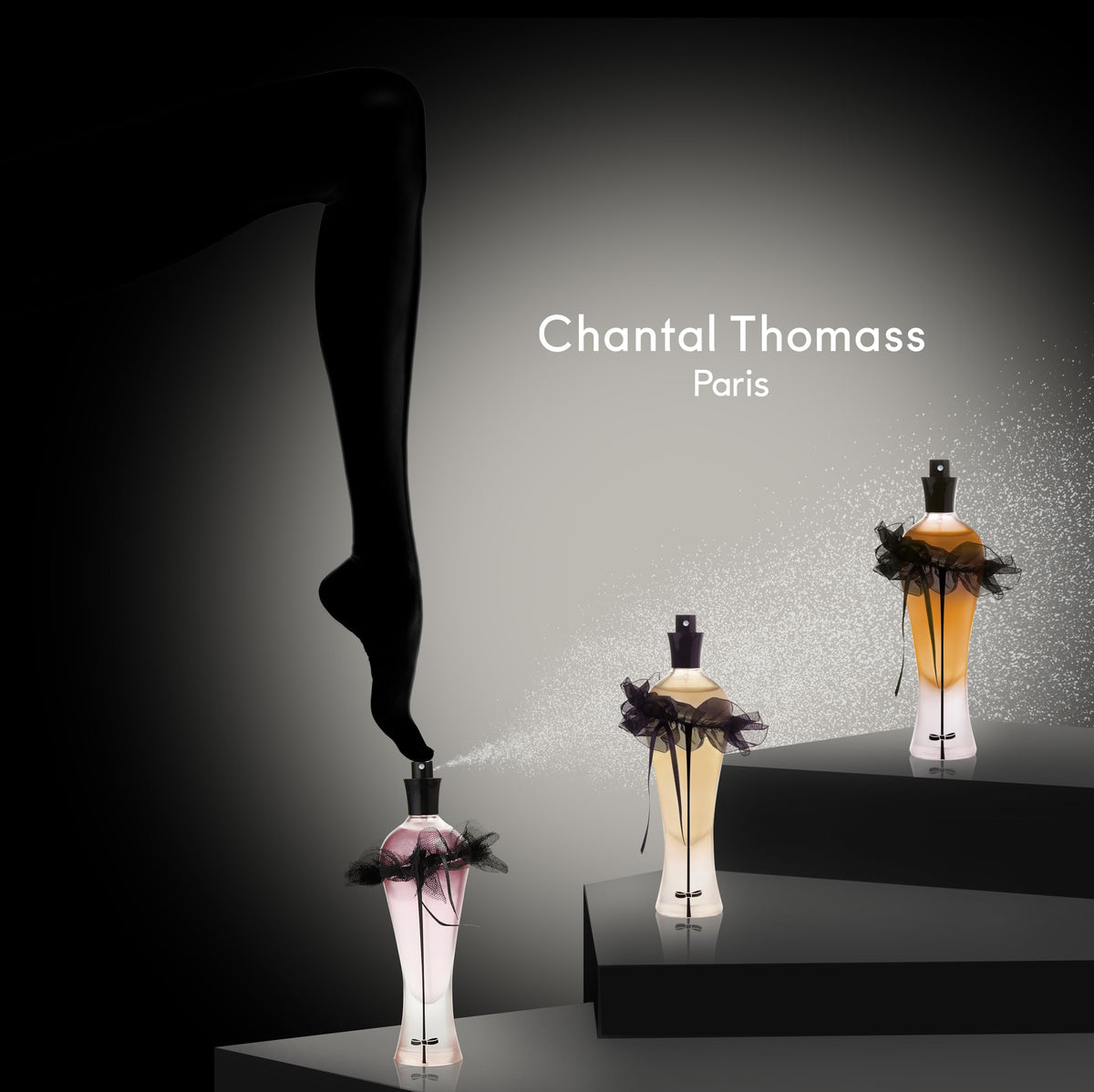 Chantal Thomass by Chantal Thomass for Women. Eau De Parfum Spray 3.4-Ounces Beauty & Personal Care Chantal Thomass
