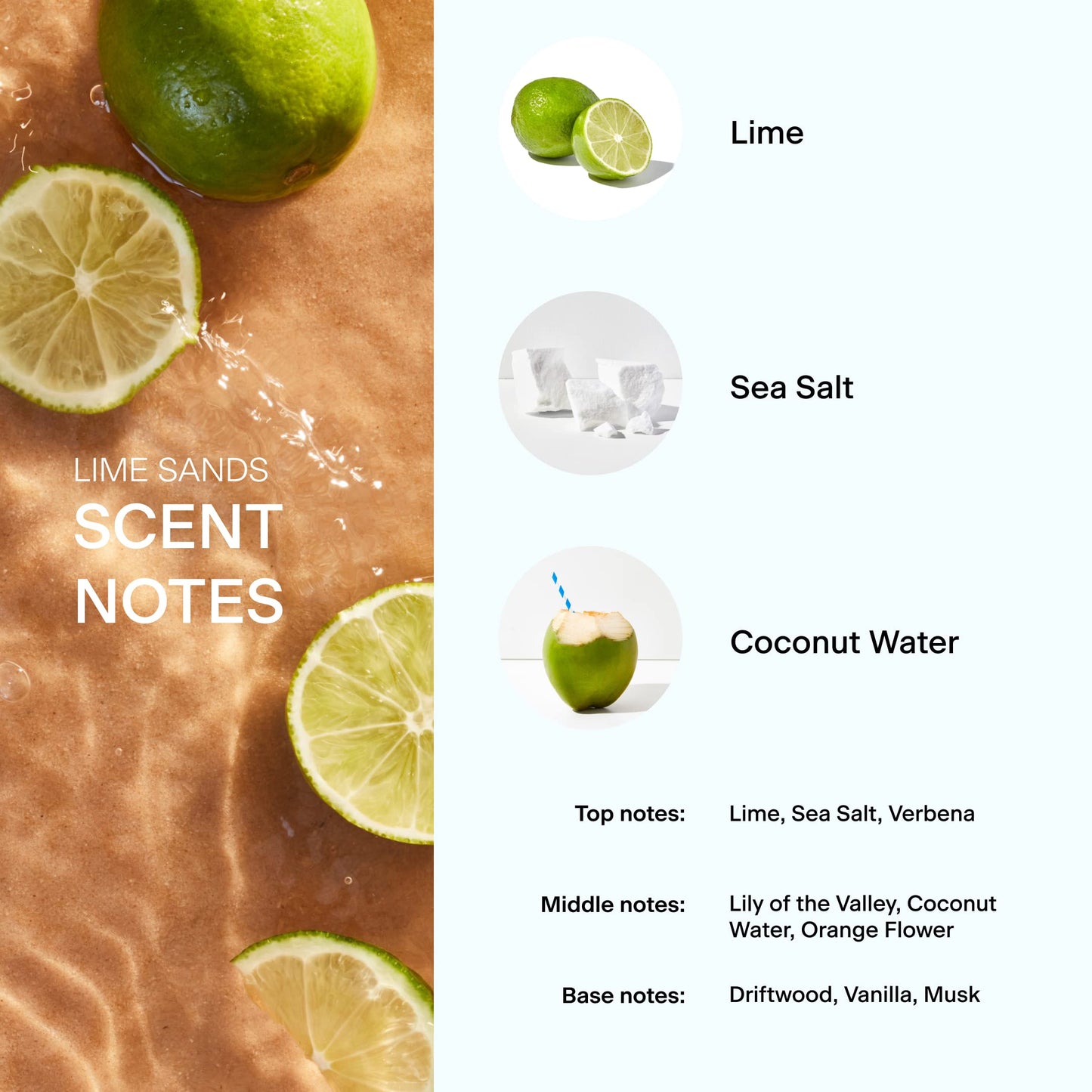 Skylar Lime Sands Travel Spray for Women - Mini Citrus Coconut Perfume, Lime, Sea Salt & Coconut Water Notes - Hypoallergenic, Vegan, Clean Fragrance Beauty & Personal Care Skylar