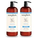 Soapbox Argan Oil & Vanilla Shampoo & Conditioner Set, Leaves Hair Smooth & Controls Frizz - Clean Ingredients Free of Harsh Chemicals, Sulfates Beauty & Personal Care Soapbox