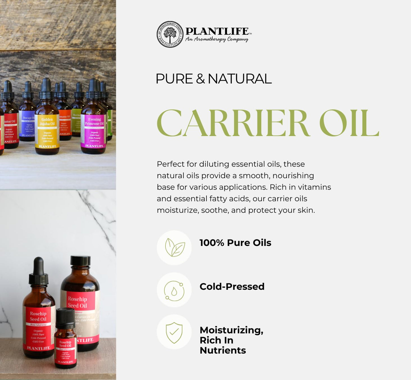 Plantlife Argan Carrier Oil - Cold Pressed, Non-GMO, and Gluten Free Carrier Oils - for Skin, Hair, and Personal Care - 4 oz Beauty & Personal Care Plantlife