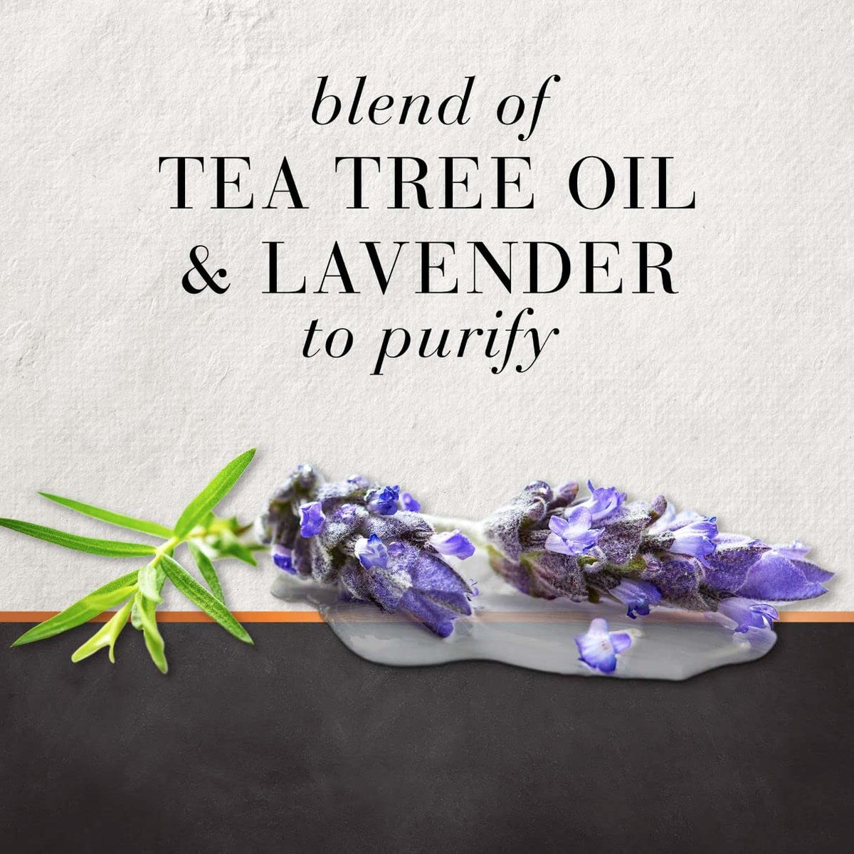 HAIR FOOD Tea Tree & Lavender Water Hair Conditioner 10.1 fluid Ounce (300ml) Beauty & Personal Care Hair Food