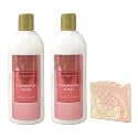 Bath & Body Works Champagne Toast 2 Pack Conditioner Bundle with a Himalayan Salts Springs Sample Soap - Full Size Beauty & Personal Care Bath & Body Works