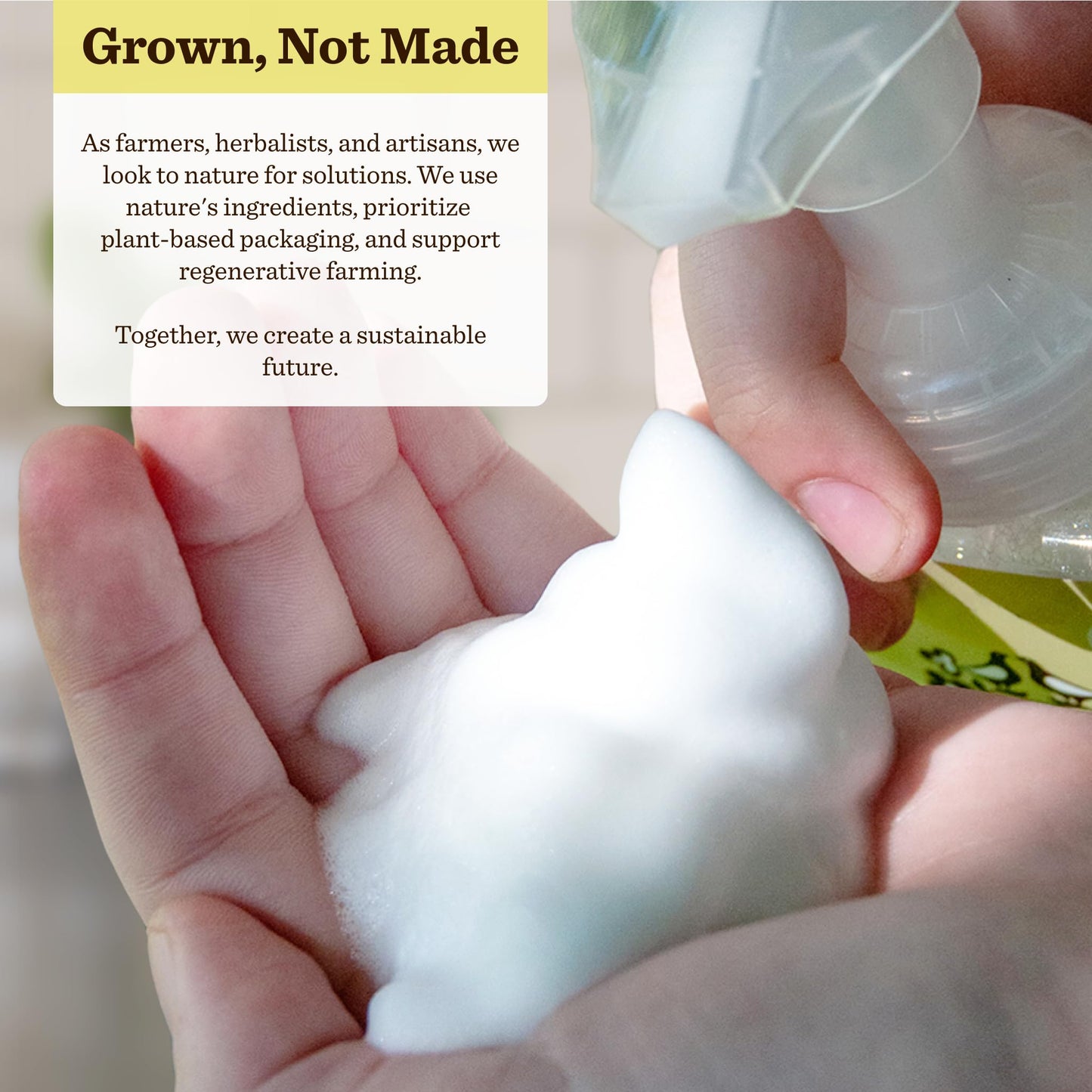 Moon Valley Herbal Foaming Hand Soap, Lemon Rosemary Two Pack, Vegan, Recyclable Bottle Beauty & Personal Care Moon Valley Organics