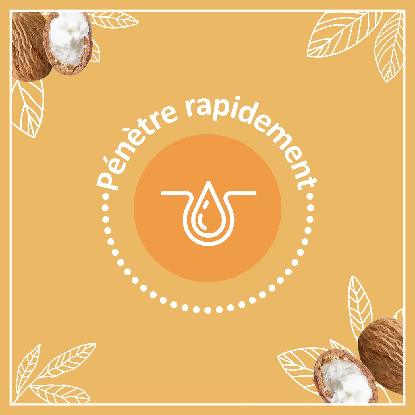 Le Petit Marseillais - Soin Lèvres Nutrition Lèvres Desséchées (2 tubes de 4,9 g) - Baume à lèvres au beurre de karité, amande douce et huile d'argan Beauty and Personal Care Le Petit Marseillais