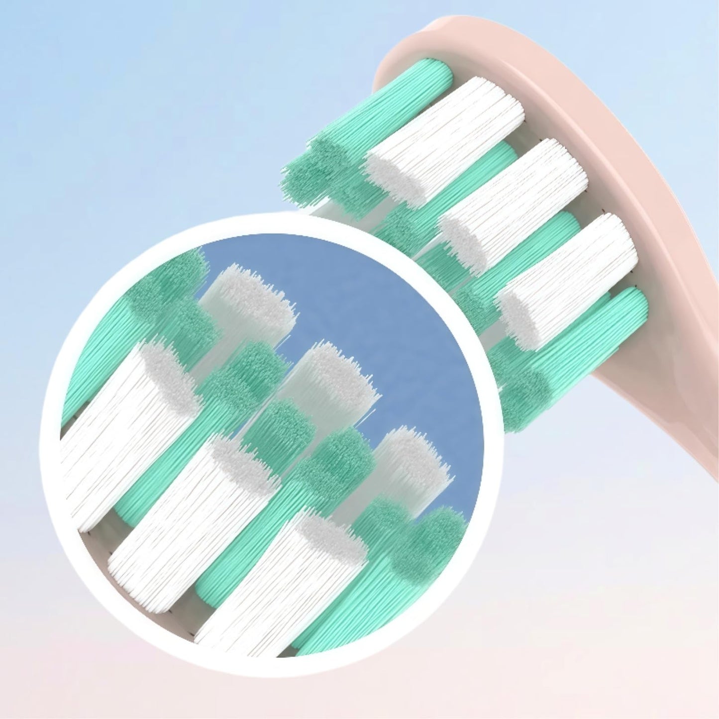 Replacement Toothbrush Head. Compatible for Usmile P1 P10 P20 P20PRO U1 U2 U3 P4 Electric Toothbrush(4 White Clean Models) Beauty and Personal Care Orfdcnhlkc