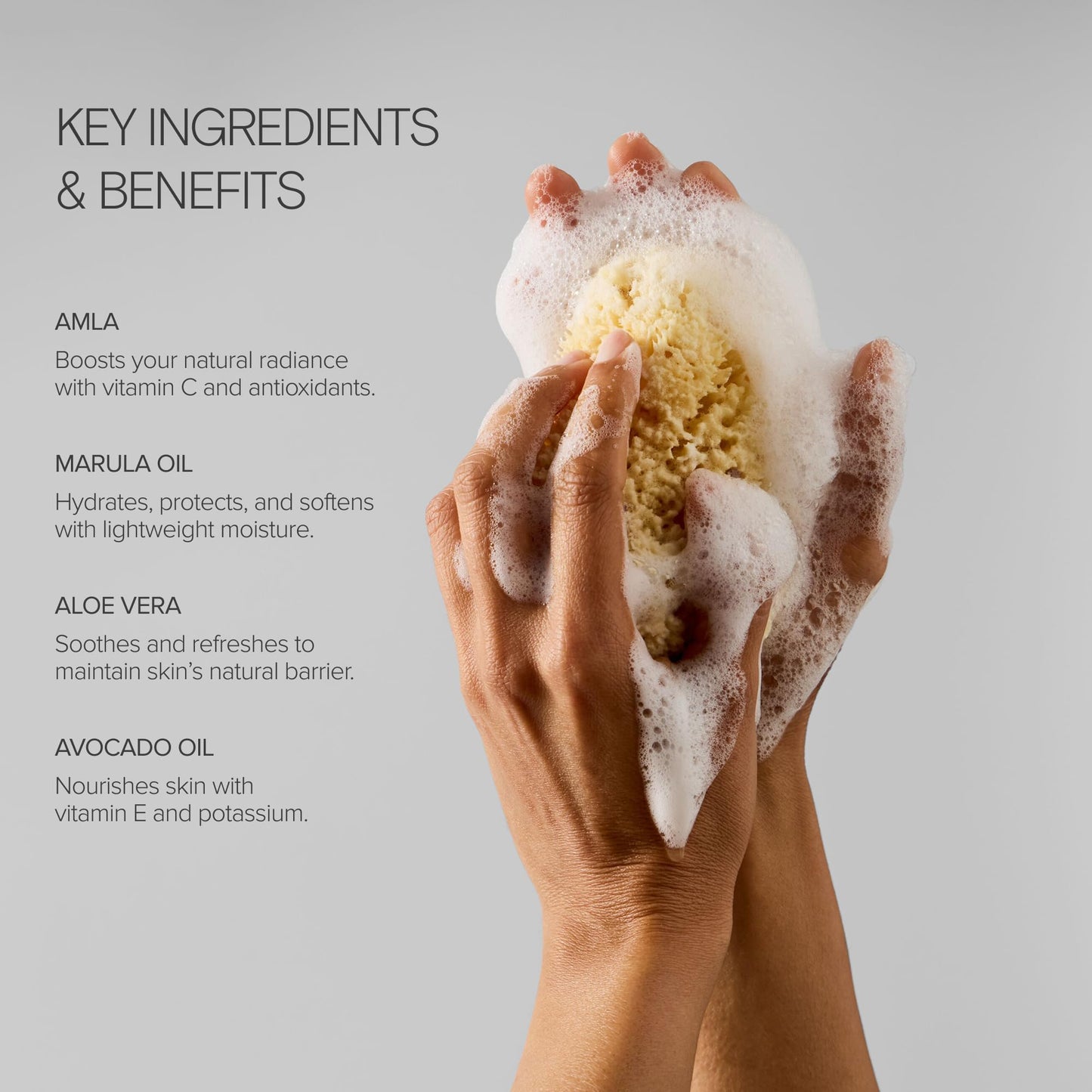 Alo Mega-C Body Wash | Nourishing Formula Made with Aloe, Vitamin E & Marula Oil | Infused with Magnesium | Citrus Scent | 6.7 fl. Oz Beauty & Personal Care Alo
