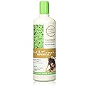 MillCreek Botanical Dandruff Shampoo, 16 Ounce Beauty & Personal Care Mill Creek