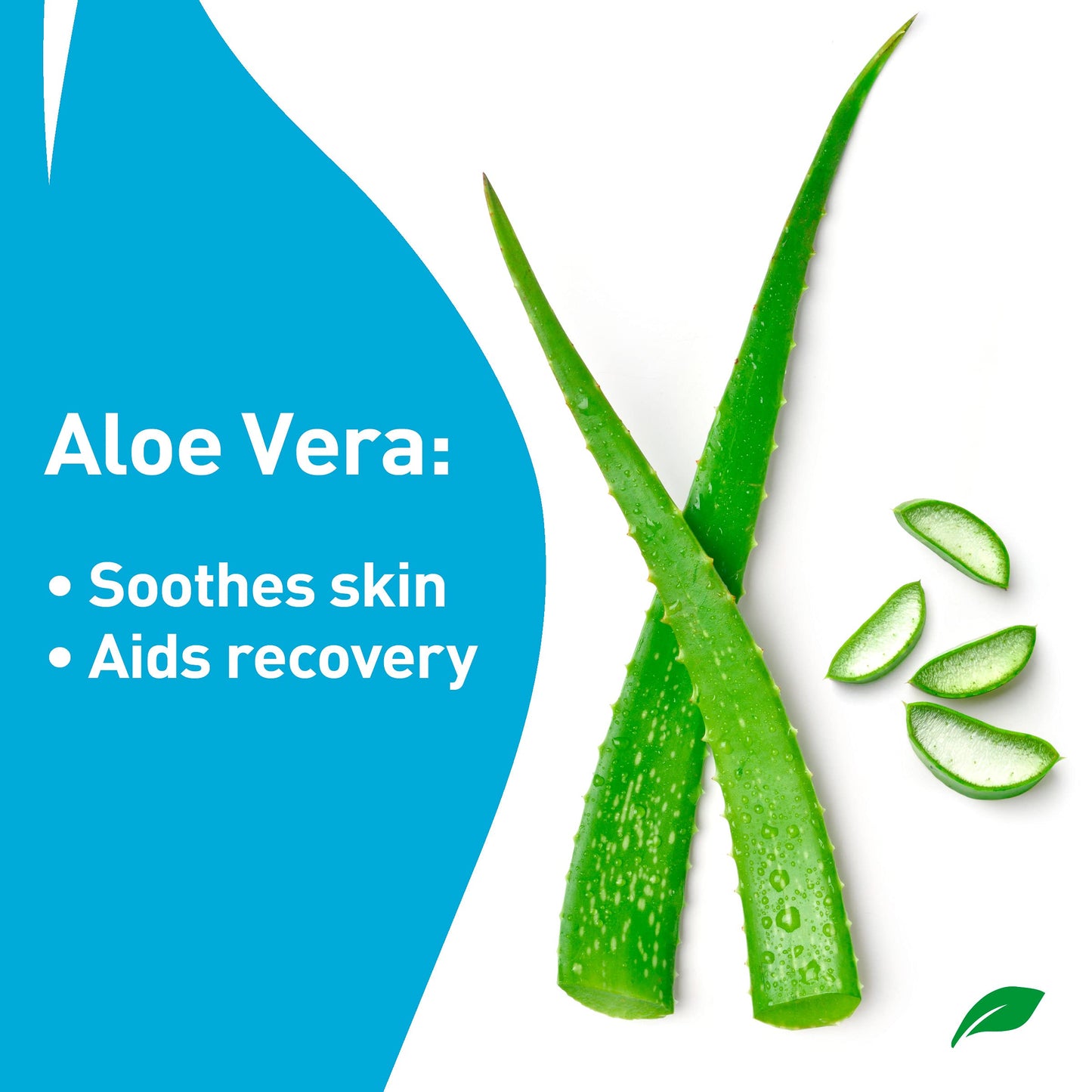 PROCURE Epsom Salt Rub Gel with Aloe Vera, 6 Fl Oz (Pack of 3) Beauty and Personal Care PROcure