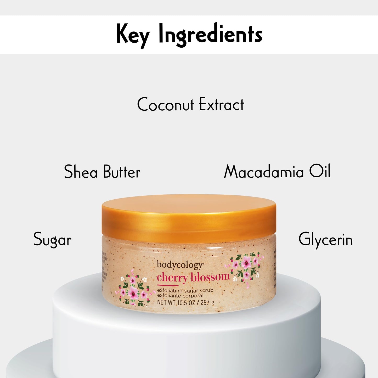 Bodycology Cherish The Moment Exfoliating Sugar Scrub for Women, 10.5 Fluid Ounce Beauty & Personal Care Bodycology