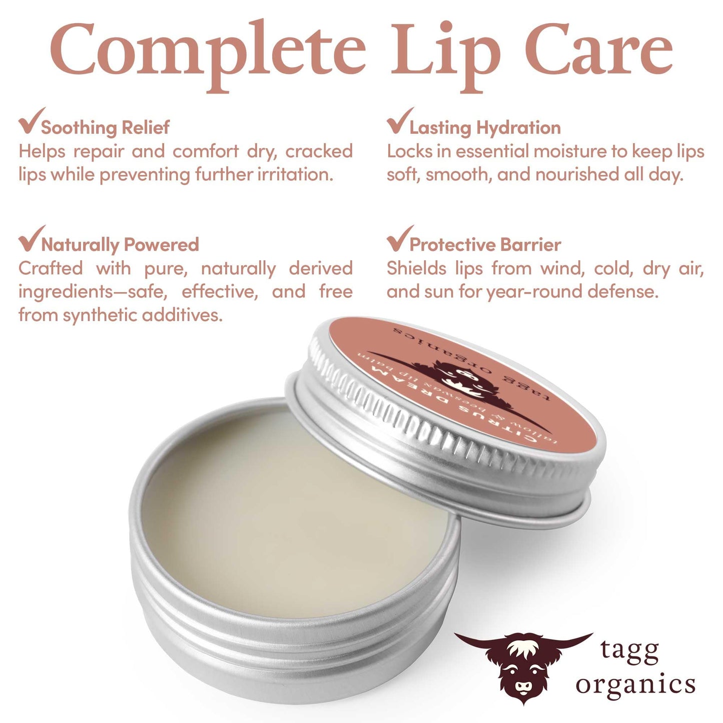 Citrus Dream Moisturizing Tallow Lip Balm - Nourishing & Soothing w/Organic Grass-Fed & Finished Tallow, 100% All Natural Beeswax & Essential Oils Beauty and Personal Care TAGG ORGANICS
