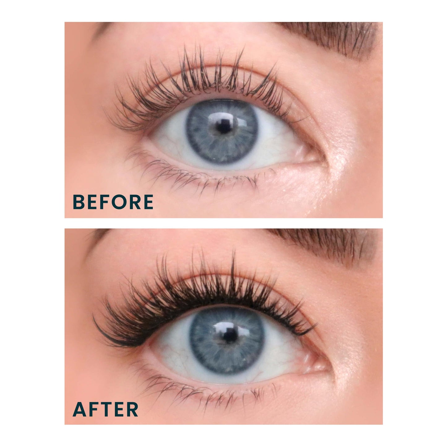 FlutterHabit The Bestie Lashes, 2 Sets of Eyelashes, DIY Lash Extensions, Up to 10 Day Lash Wear, Salon Quality Cluster Eyelashes for a Natural Look… Beauty & Personal Care FlutterHabit