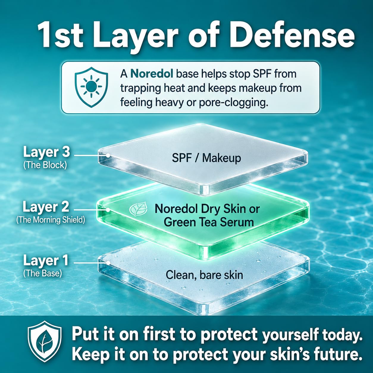 Noredol Green Tea Face Serum Moisturizer - Water Based Daily Barrier Antioxidant Hydration with Aloe Vera & Panthenol - Fragrance Free Makeup Prep Beauty & Personal Care Noredol