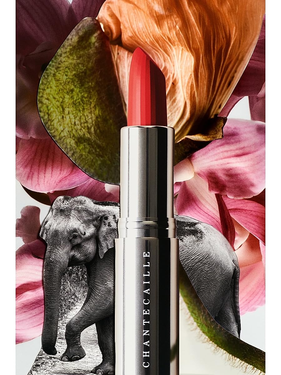 Chantecaille, Wild Tulip Lip Crème, Plum Blossom Beauty & Personal Care Chantecaille