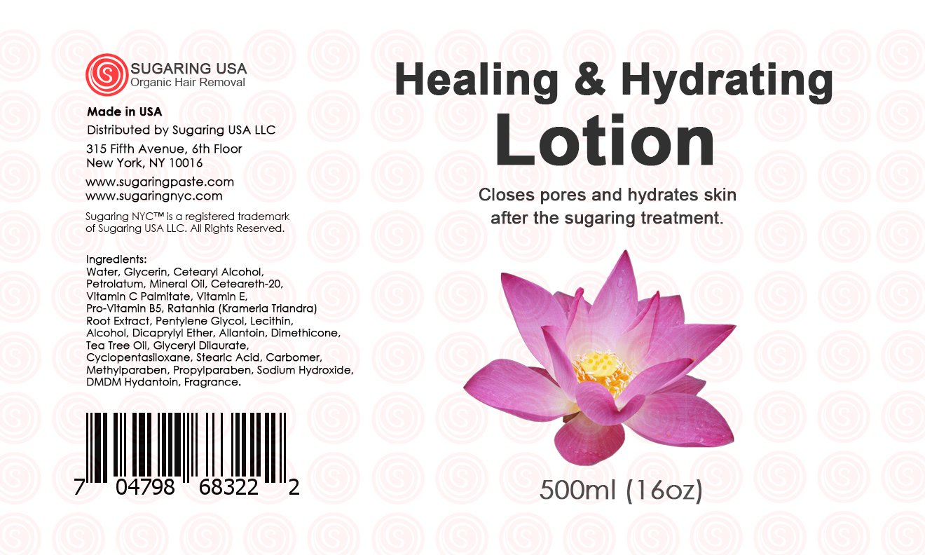 Sugaring After Treatment Healing & Hydrating Lotion 500ml. 16Oz Beauty & Personal Care Sugaring NYC