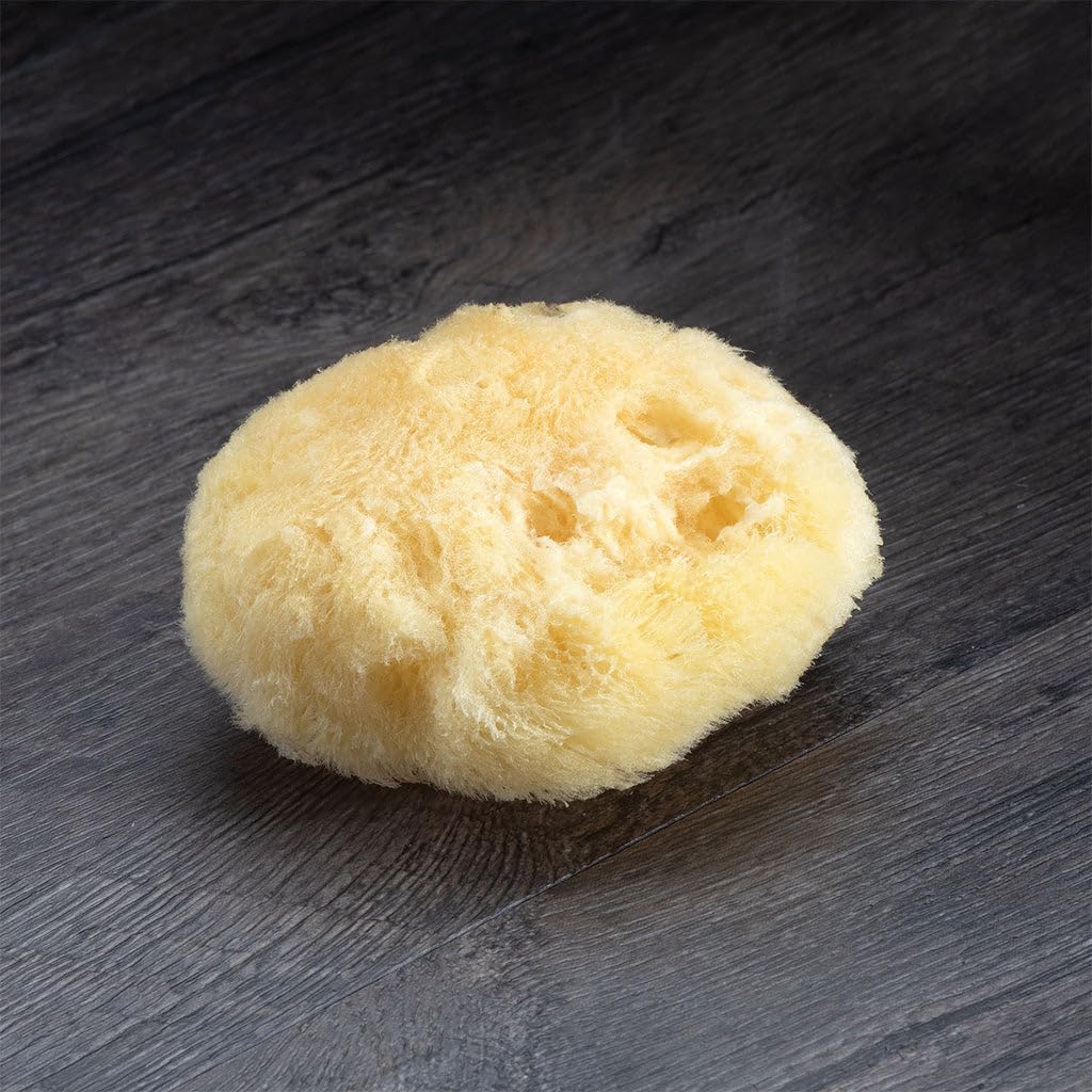 Sea Soft Silk Sponge - for Cosmetic Use, Facial Cleansing, 3-4 inches Beauty & Personal Care Neptune Natural