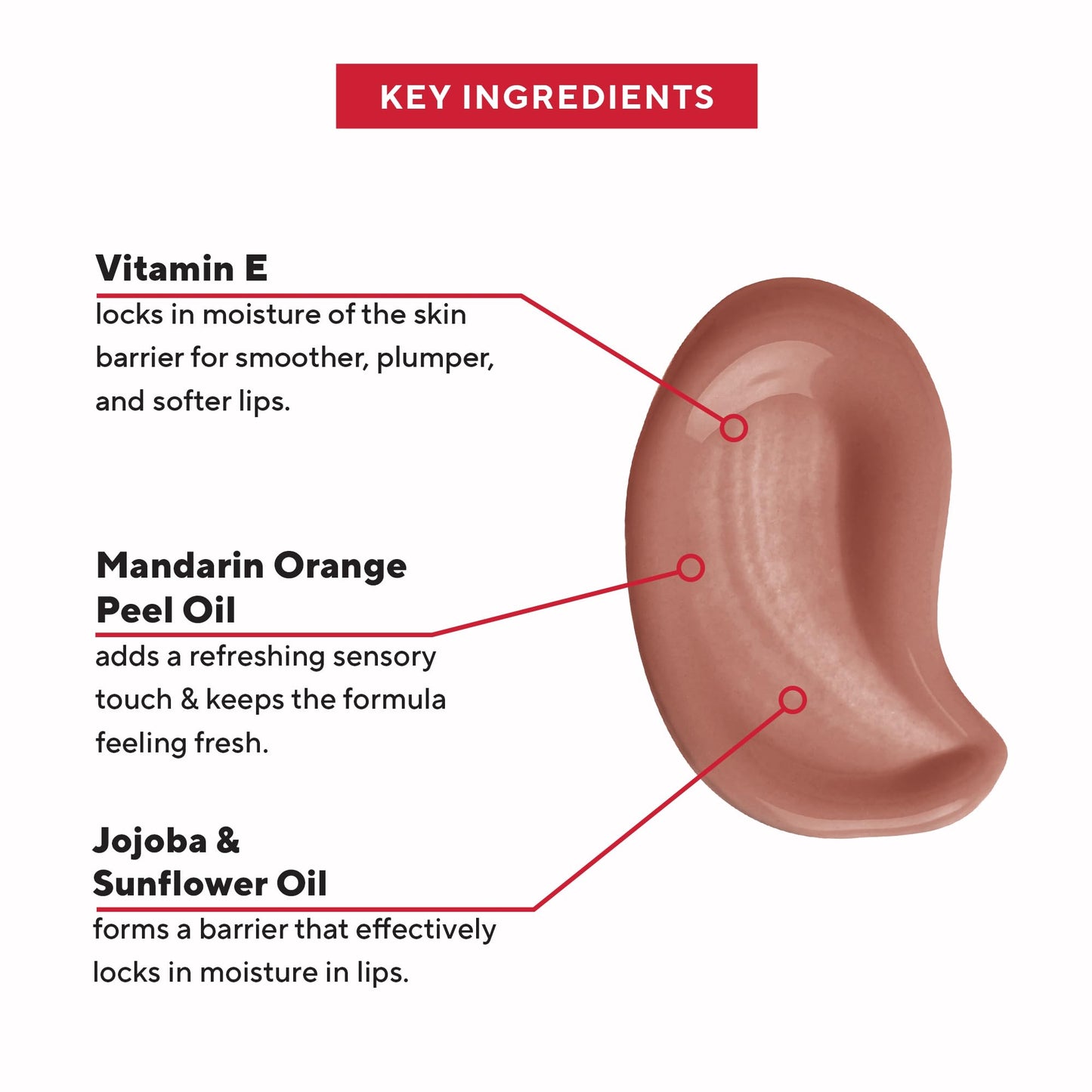 Mirabella Tint Theory Hydrating Lip Balm - Glossy Tinted Lip Balm with Vitamin E, Jojoba & Sunflower Oil | Moisturizing, Non-Sticky Shine for Everyday Beauty & Personal Care Mirabella