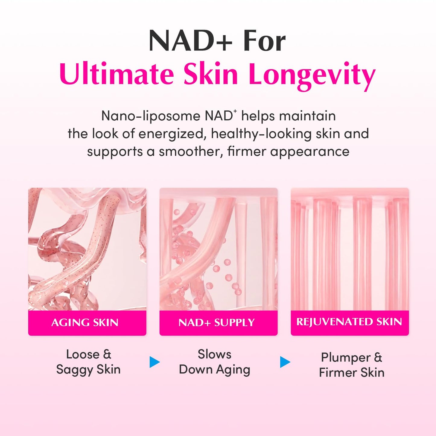 EQQUALBERRY NAD+ Peptide Boosting Cream - NAD+ 5% & 13 Peptides Anti-Aging Korean Skincare Face & Body Cream | Firming & Lifting Pink Neck Cream Beauty and Personal Care EQQUALBERRY