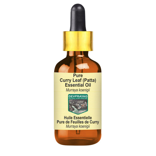 Devprayag Curry Leaf (Patta) Essential Oil (Murraya koenigii) with Glass Dropper - Pure - Non-Sticky - Non-Greasy - Lightweight - Men & Women - All Beauty and Personal Care DEVPRAYAG