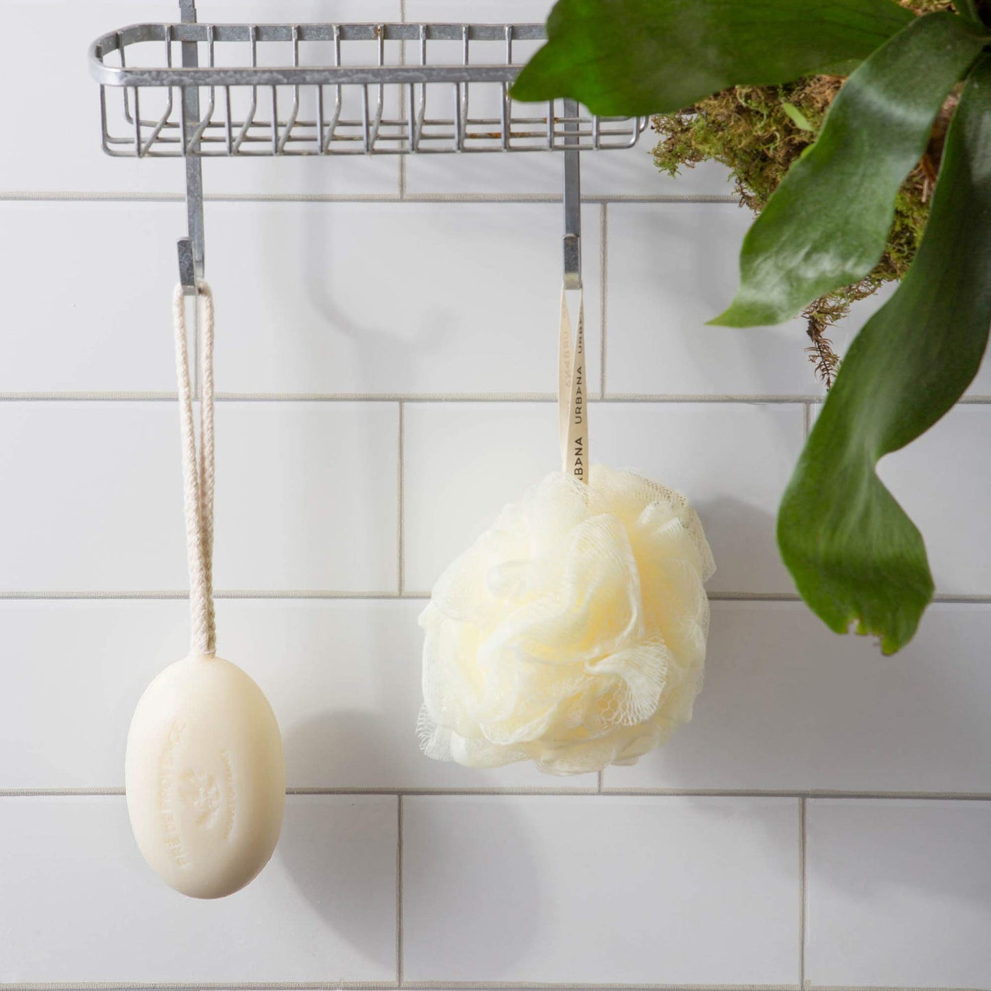 Pre de Provence Soap On a Rope, Mirabelle, 200 Gram Beauty & Personal Care Pre de Provence