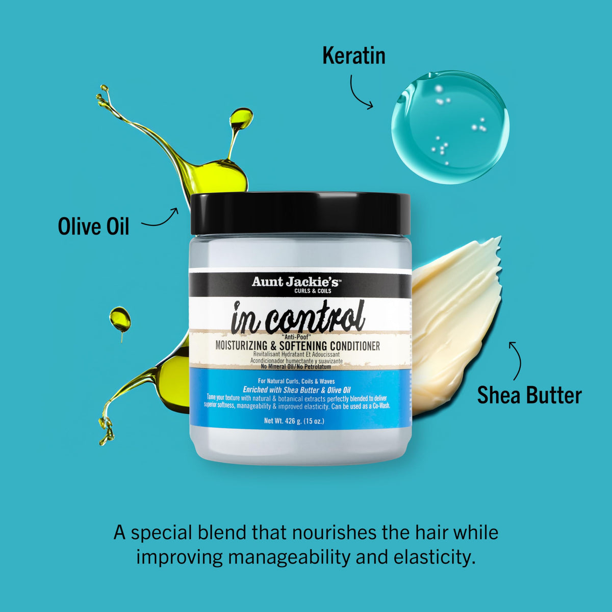 Aunt Jackie's in control 15oz - "Anti-Poof" Moisturizing & Softening Conditioner Beauty & Personal Care Aunt Jackie's