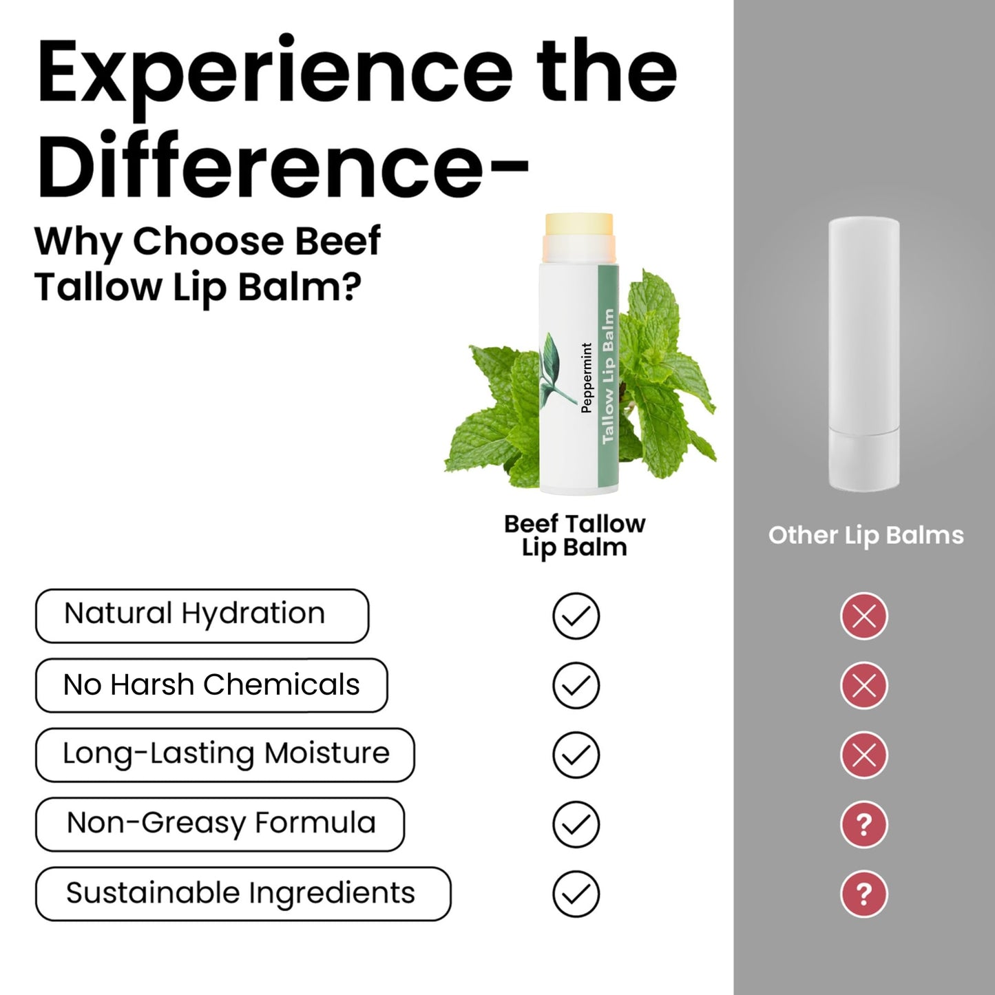Tallow Lip Balm by Cattle Creek - All-Natural Ingredients, Long-Lasting Moisture and Hydration for Dry, Cracked, and Chapped Lips, Soothing Formula Beauty & Personal Care Cattle Creek Mercantile