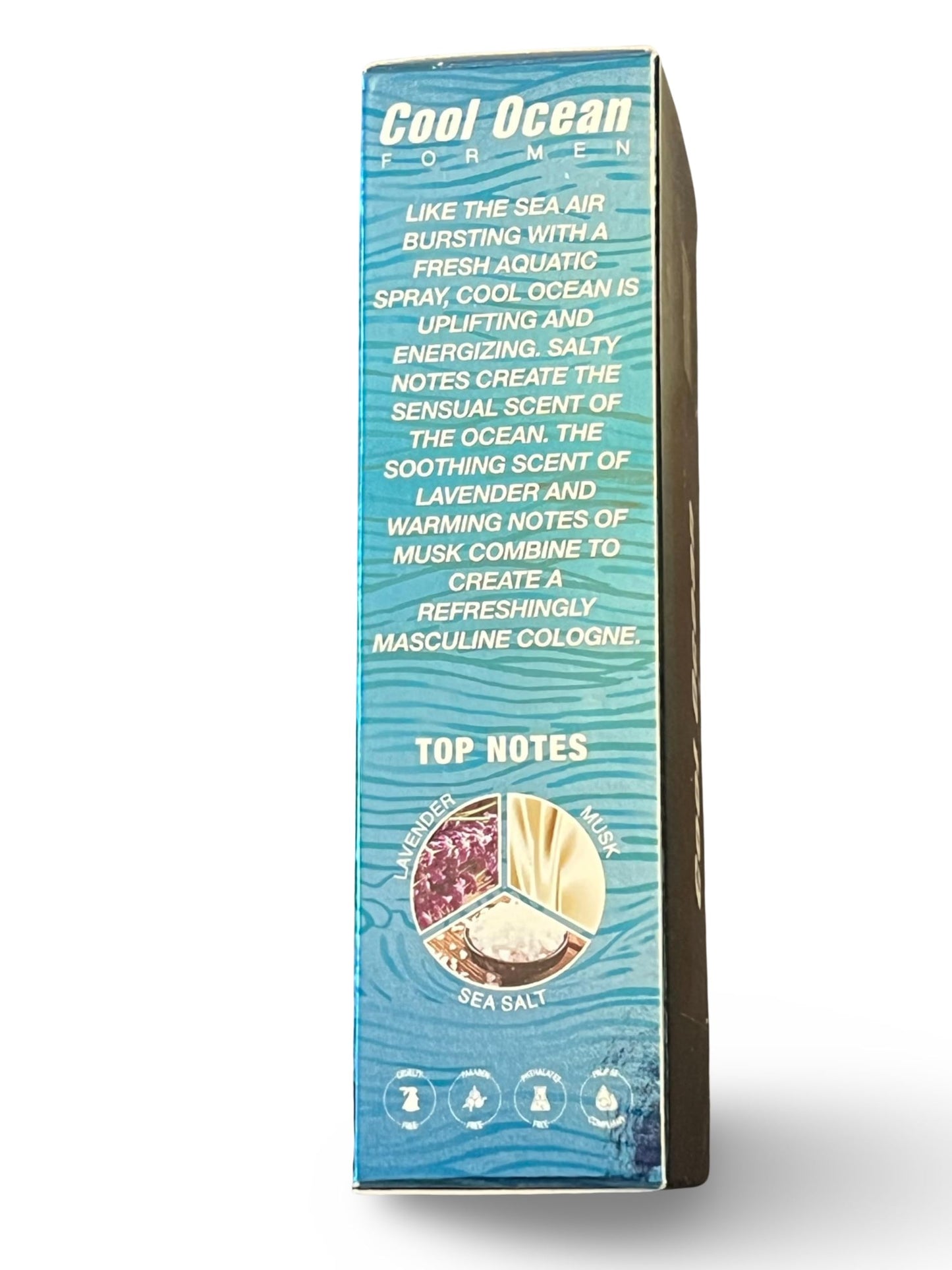 Belcam Beauty COOL OCEAN Eau de Toilette for Men, 3.4 fl oz, Fresh Aquatic Spray Beauty & Personal Care Belcam Beauty