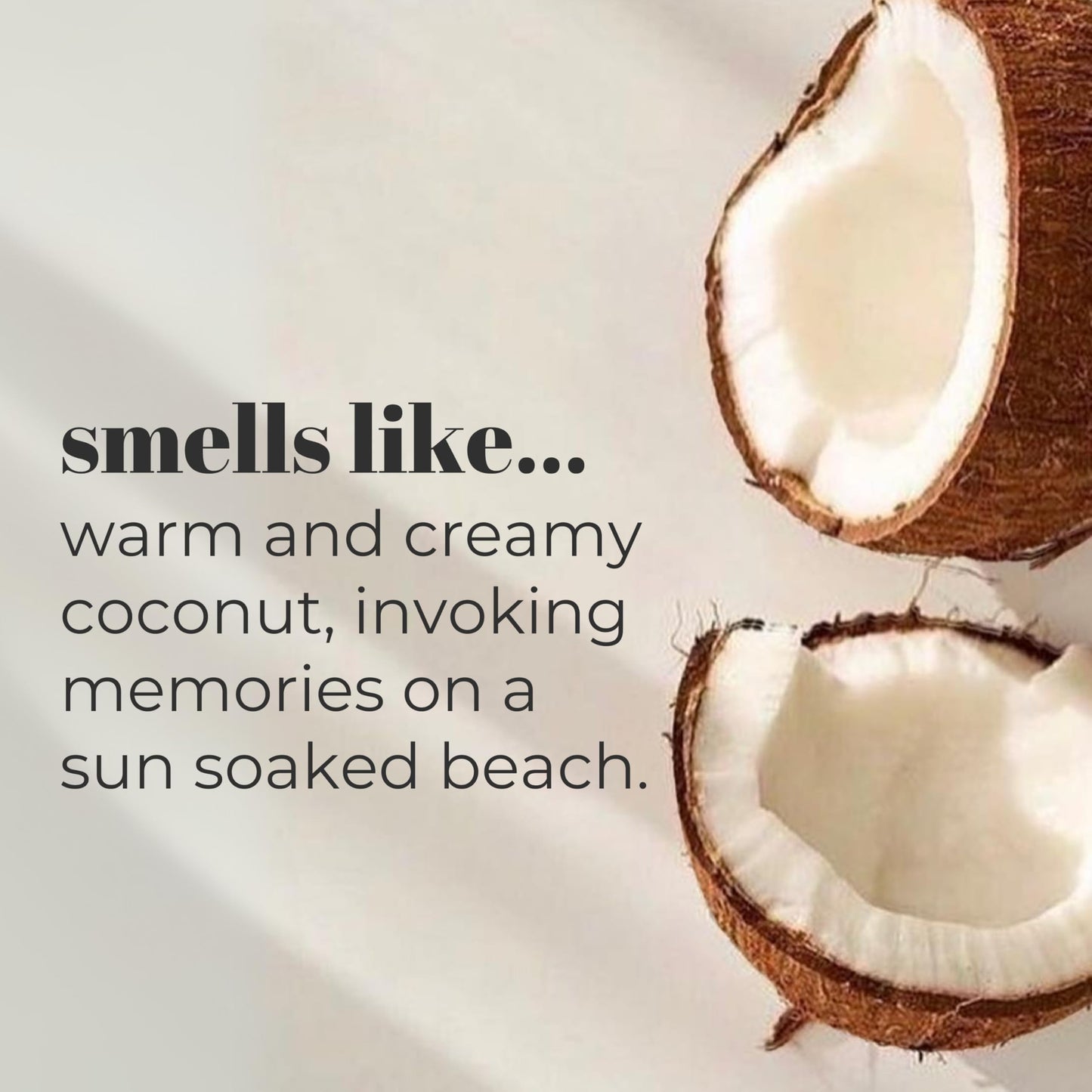 Mountain Ocean The Original Skin Trip Coconut Body Lotion, 8 Oz (Pack of 3), Lightweight, Fast Absorbing Moisturizer, with Coconut Oil, Aloe Vera Beauty & Personal Care Mountain Ocean