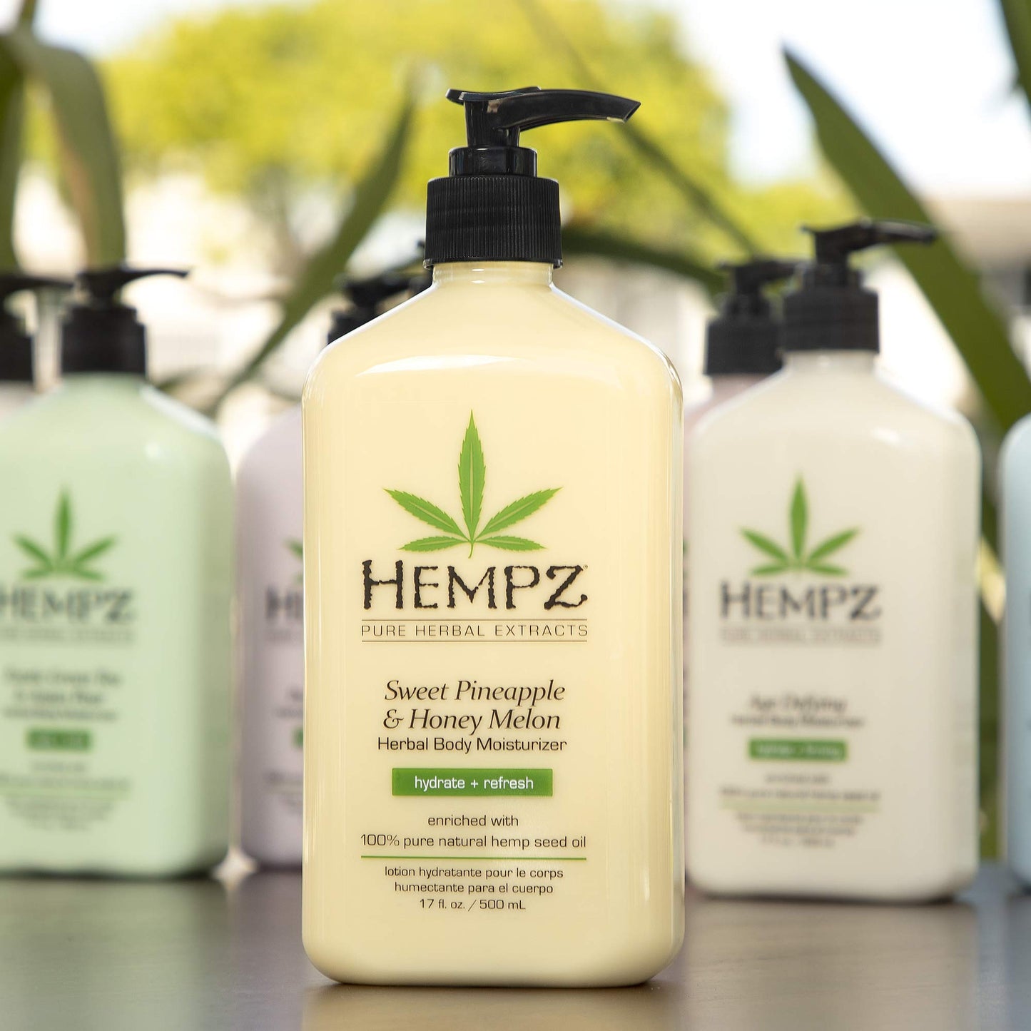 Hempz Sweet Pineapple & Honey Melon Moisturizing Skin Lotion, Body Moisturizer with Jojoba, Natural Extracts, Vitamin A and E, 17 oz, 2 Pack Bundle Beauty & Personal Care Hempz