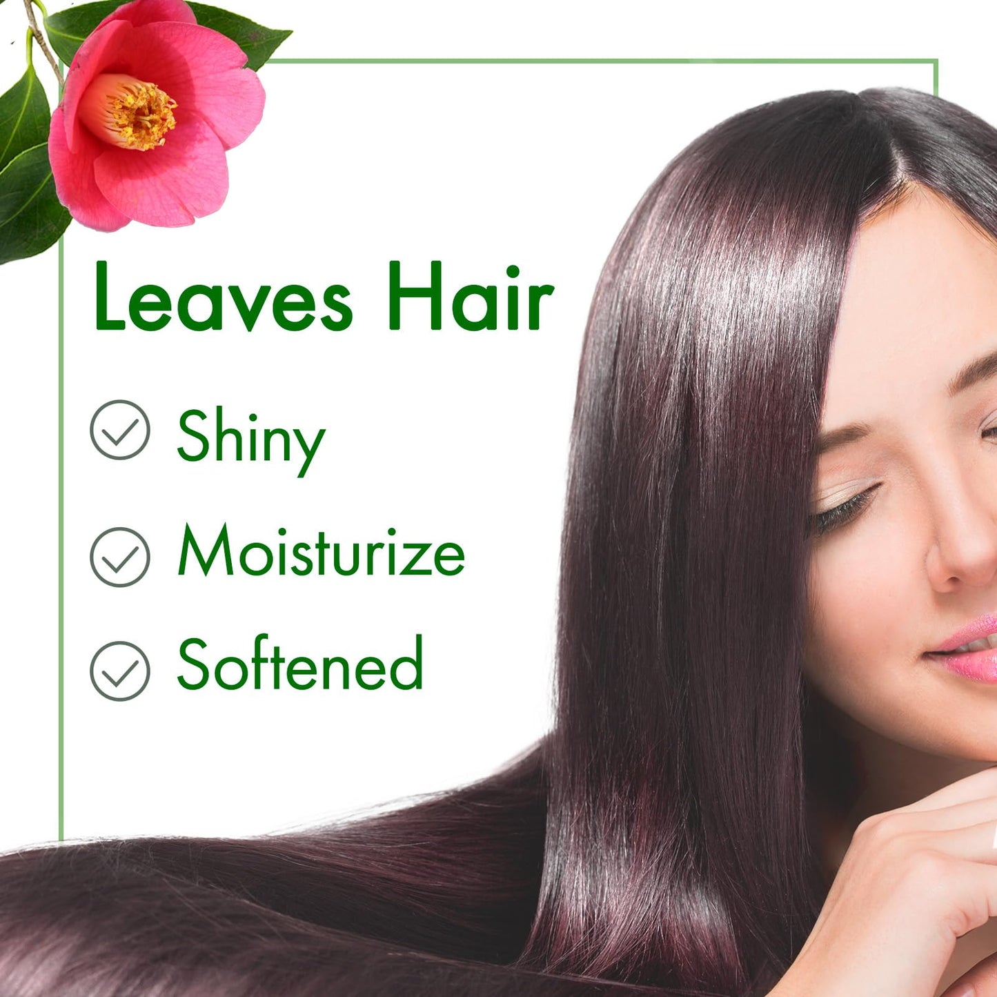 Oshima Tsubaki Camellia seed Oil - English Packaging for US - 100% Pure and Natural, Plant-Based, Single-Ingredient, Moisturizing for Hair, Face Beauty & Personal Care Oshima Tsubaki