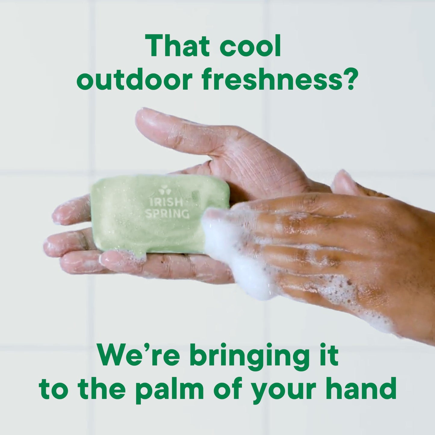 Irish Spring Aloe Vera Moisturizing Bar Soap, 44.4 Oz Beauty & Personal Care Irish Spring
