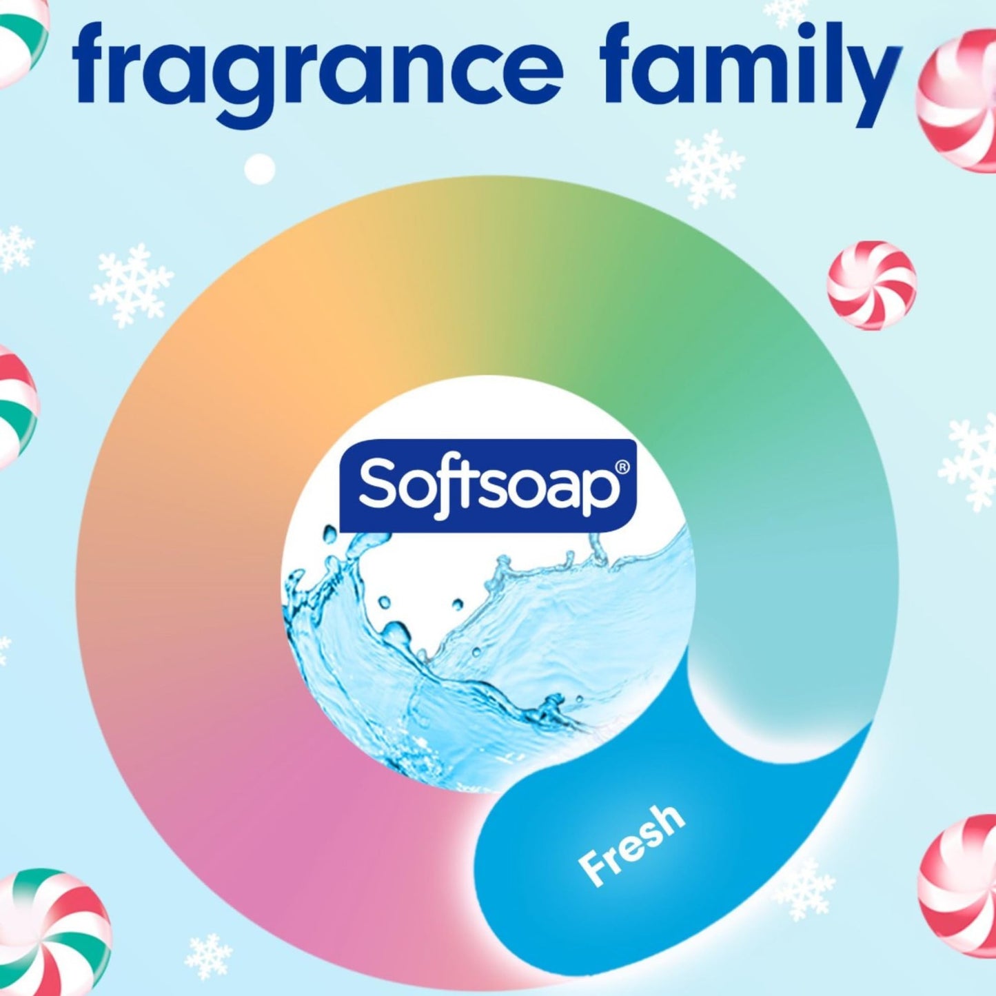 Softsoap Limited Edition Frosty Mint Peppermint Scented Liquid Hand Soap, 11.25 Fl Oz, 2 Pack, Winter Holiday Design Beauty & Personal Care Softsoap