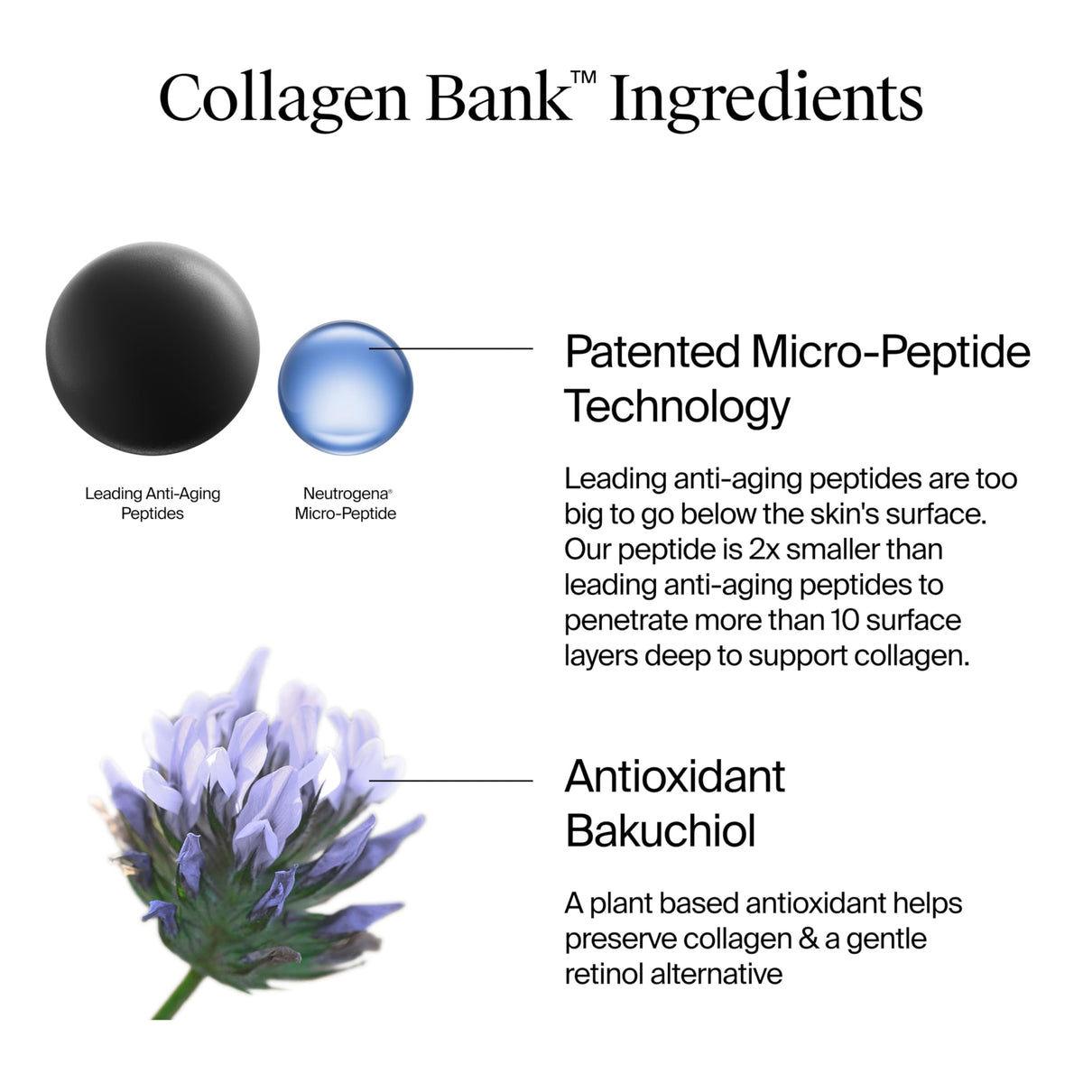 Neutrogena Collagen Bank Face Moisturizer, Larger Size Anti-Aging Face & Neck Collagen Cream, Bakuchiol, Face Lotion Supports Skin’s Natural Collagen Beauty & Personal Care Neutrogena