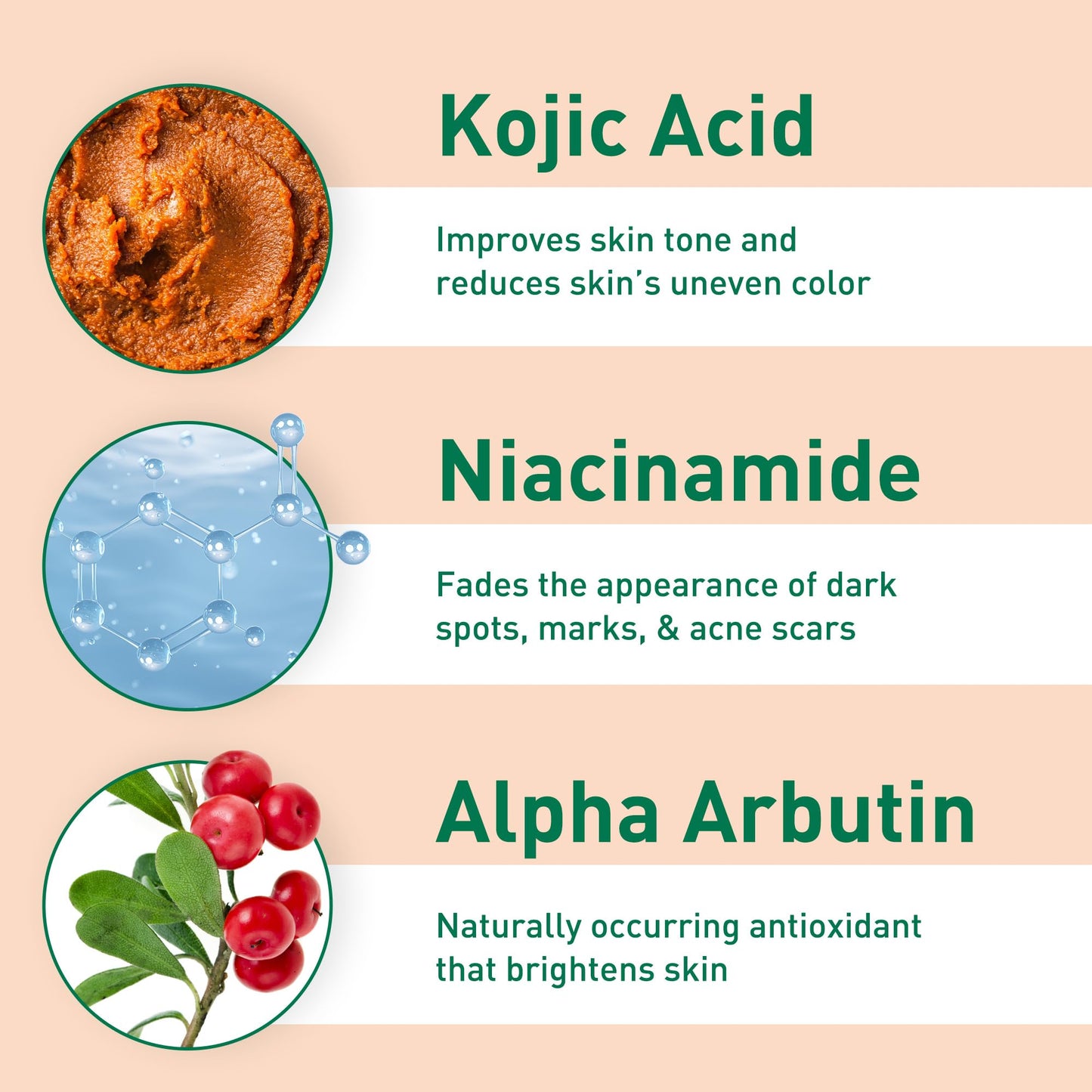 PROcure Dark Spot Corrector Serum - Alpha Arbutin, Niacinamide & Kojic Acid for Hyperpigmentation, Age Spots & Uneven Skin Tone - Hydroquinone-Free Beauty & Personal Care PROcure