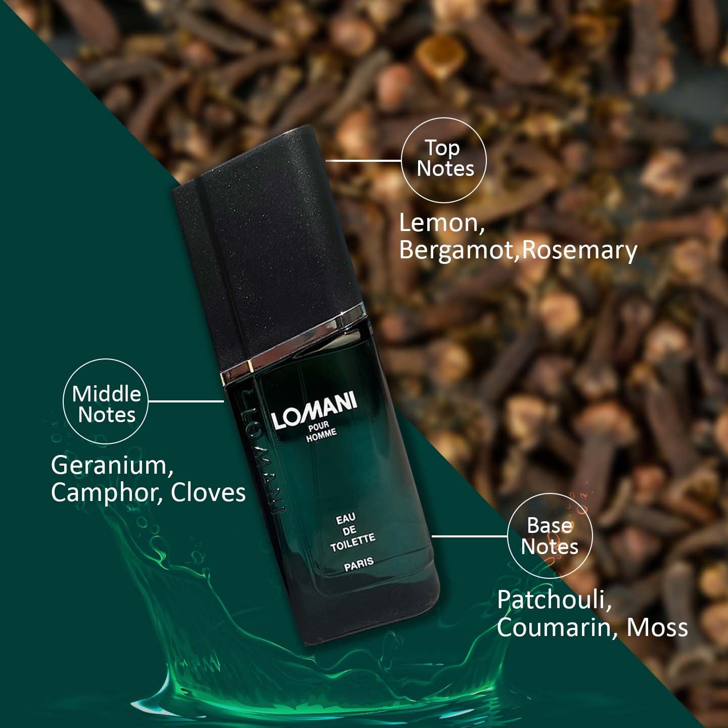 Lomani By Lomani 3.4 oz Eau De Toilette Spray for Men Beauty & Personal Care Lomani