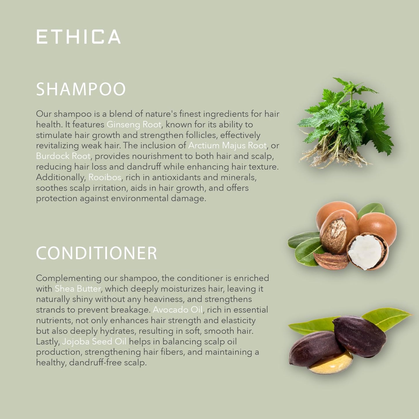 Shampoo and Conditioner. Clarifying & Deep Conditioning. Promotes Strong Healthy Hair, Scalp Health, and Hair Growth, 8.45 Oz Beauty & Personal Care Ethica Beauty