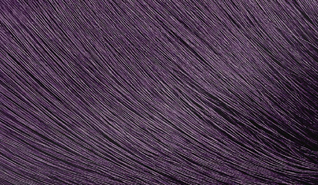 Bigen Speedy Conditioning Color Kit: 4V Violet Brown - 3 Pack Beauty & Personal Care Bigen