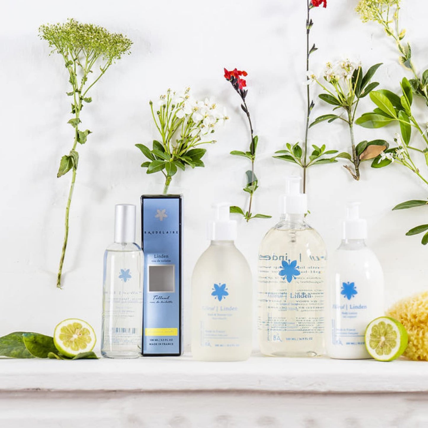 Provence Sante Eau de Toilette Spray - Luxury Long-Lasting Fragrance - Linden Scent - Elegant Perfume Gift - Made in France - 3.5 Oz Beauty & Personal Care Provence Sante