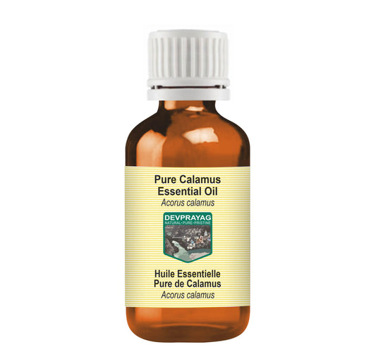 Devprayag Calamus Essential Oil (Acorus Calamus) Pure - Non-Sticky - Non-Greasy - Lightweight - Men & Women - All Skin Types - Steam Distilled 15ml Beauty and Personal Care DEVPRAYAG