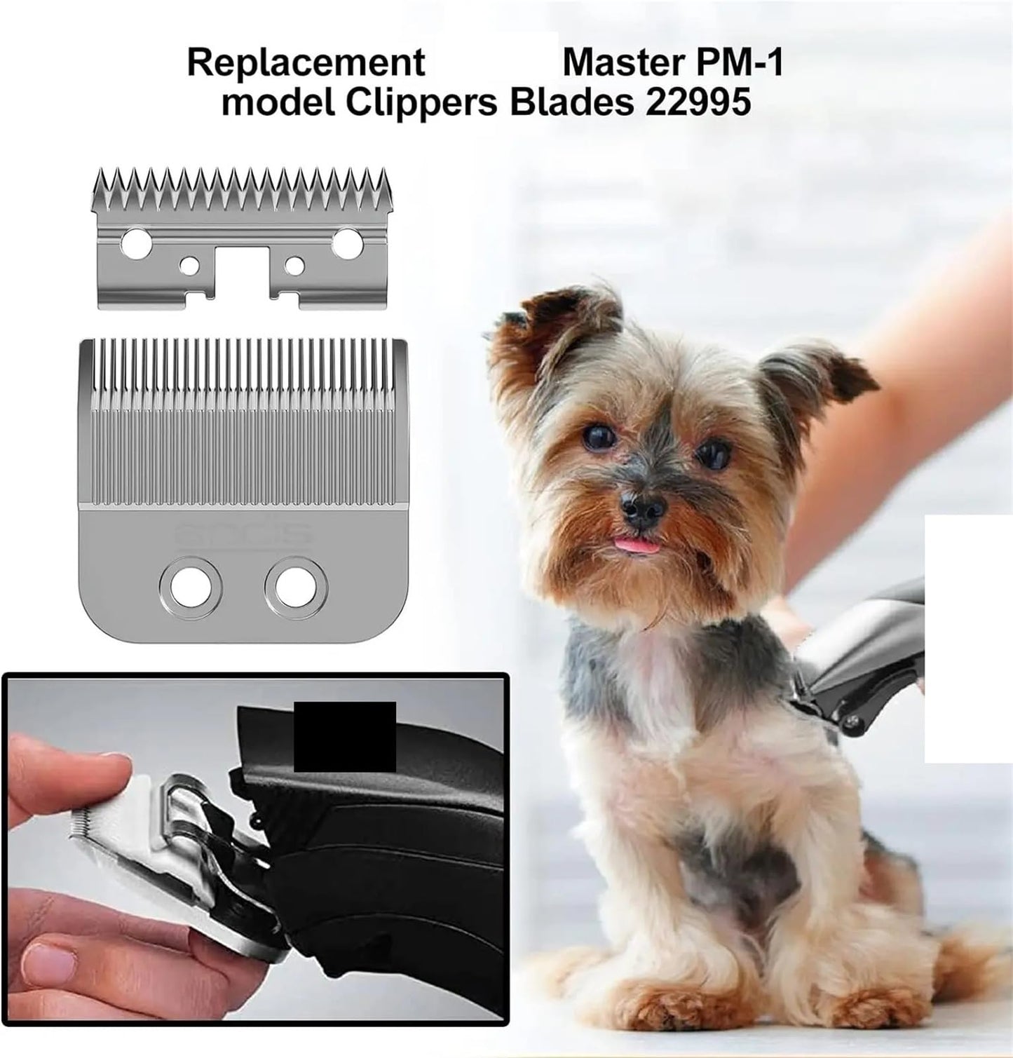 Compatible For Andis, Master PM-1 Blades 22995 Stainless Steel Lade Speedmaster Clippers Replace Electric Shaver Head Beauty and Personal Care ASZIASXT