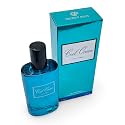 Secret Plus Cool Ocean for Men Eau de Parfum, 3.4 Fl Oz, Sea Water, Lavender, Mint Fragrance Beauty & Personal Care Secret Plus