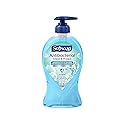 Softsoap Antibacterial Liquid Hand Soap Pump, Clean & Protect, Cool Splash - 11.25 Fl. Oz Beauty & Personal Care Softsoap