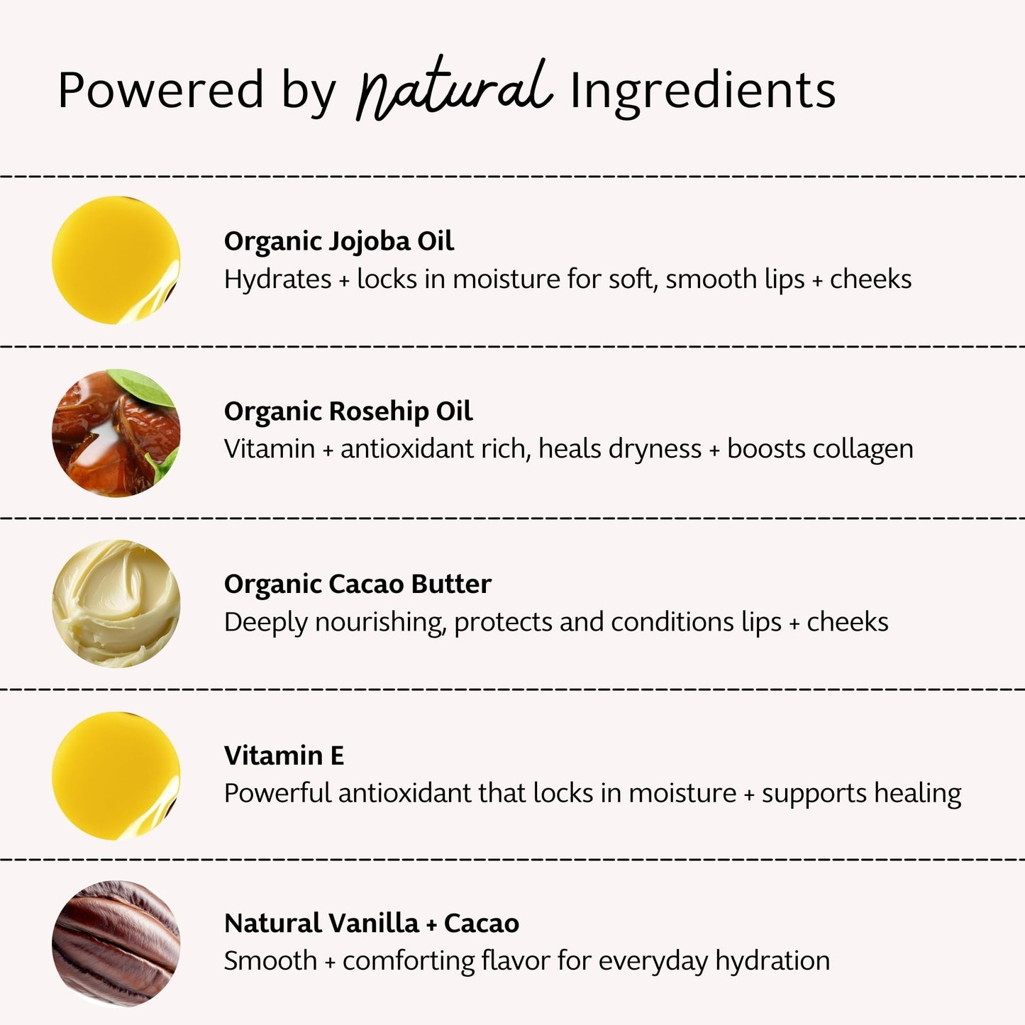 Slo Hydrating Lip Balm - All Natural Ingredients, Rich Lip Balm with Organic Jojoba, Rosehip, Cocoa Butter - Vegan, Cruelty-Free, Paper Packaging Beauty and Personal Care Slo