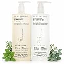 GIOVANNI Tea Tree Triple Treat Invigorating Shampoo & Conditioner Set - Cooling Peppermint, Eucalyptus, Rosemary, Helps Dry, Flaky Scalp, Salon Beauty & Personal Care GIOVANNI