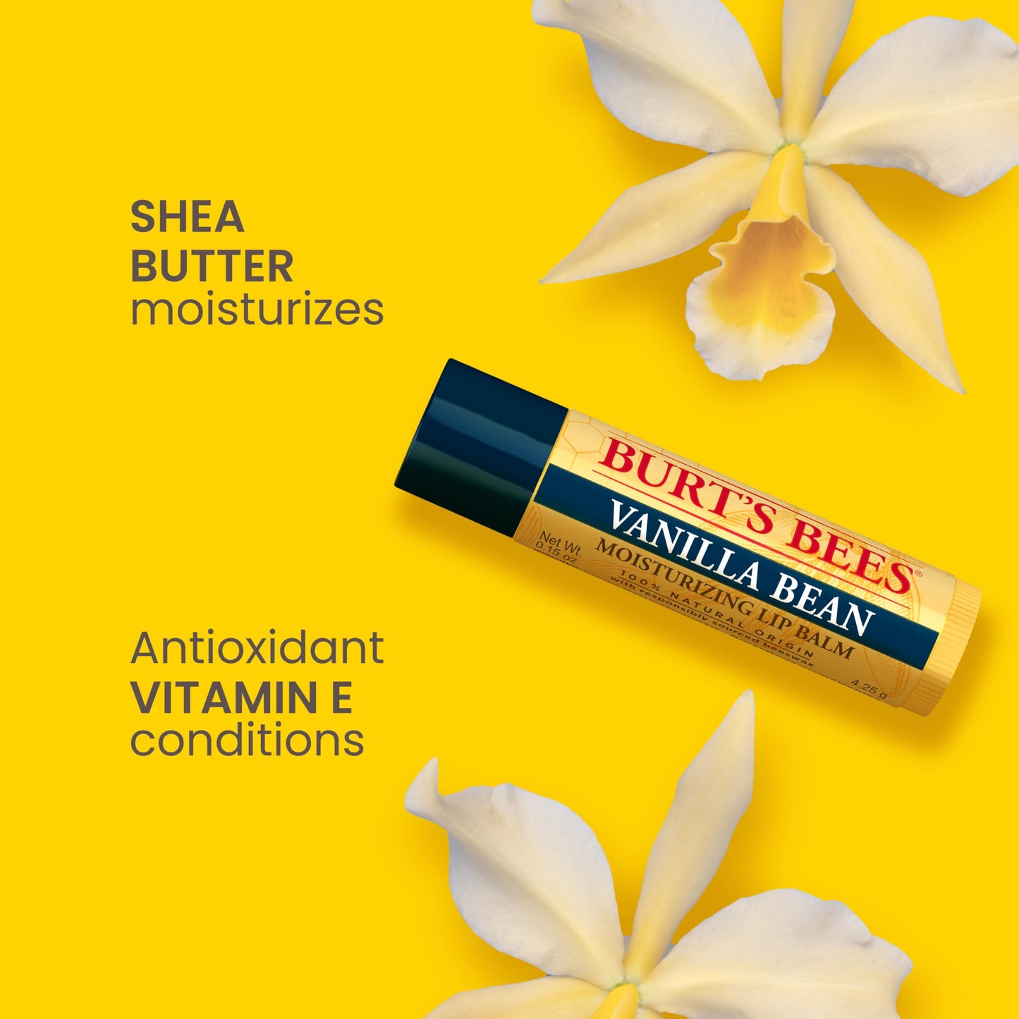 Burt's Bees 100% Natural Lip Balm, Wild Cherry and Vanilla Bean Blister Box, 0.3 Ounce, 2 Count Beauty & Personal Care Burt's Bees